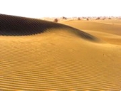 砂漠公路からの眺め