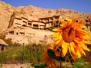 �N�`���c�A�[�A�M�W���畧���ƂЂ܂��