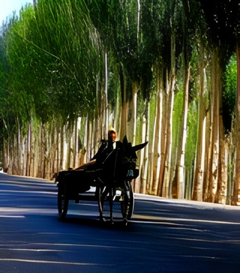 �V���N���[�h���s�|�v������