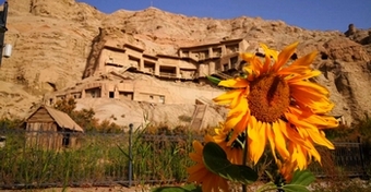 ���n�ڂƔ����A